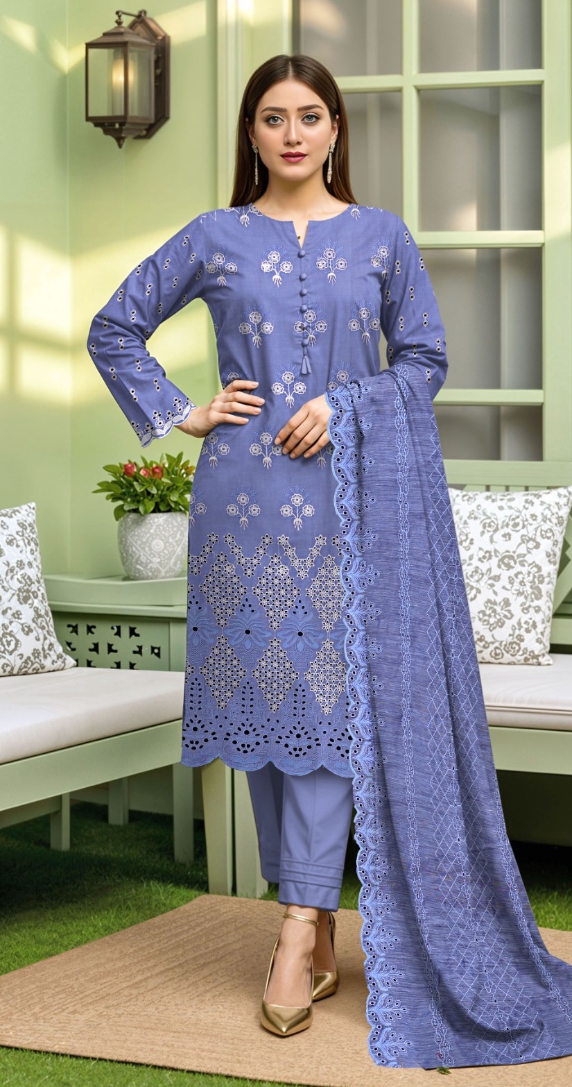 Chicken Kari Eid Collection by Zeo Fashion Store (ZEO-806)